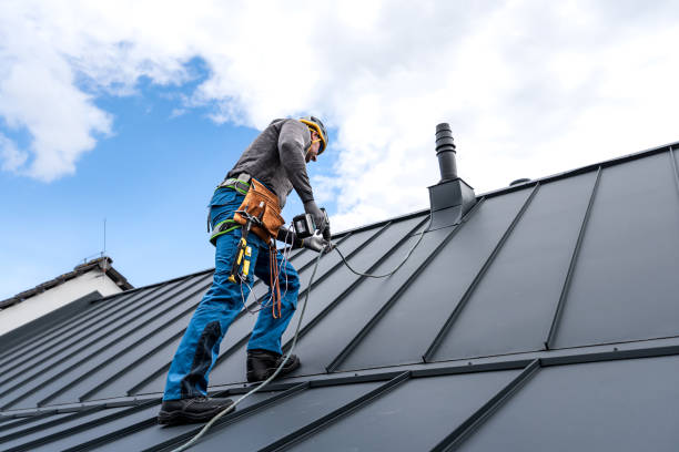 Best Roof Maintenance and Cleaning  in Keshore, LA